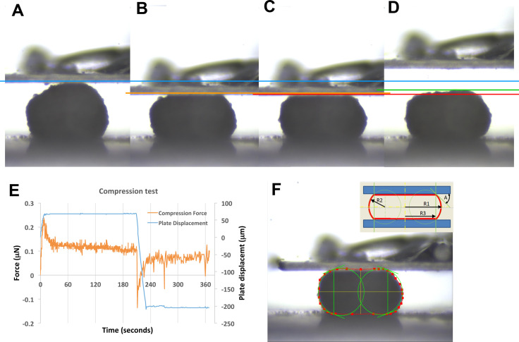 Figure 5—figure supplement 1.