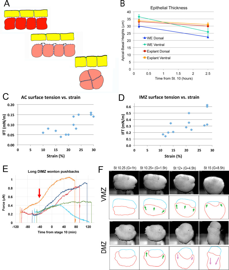 Figure 5—figure supplement 2.