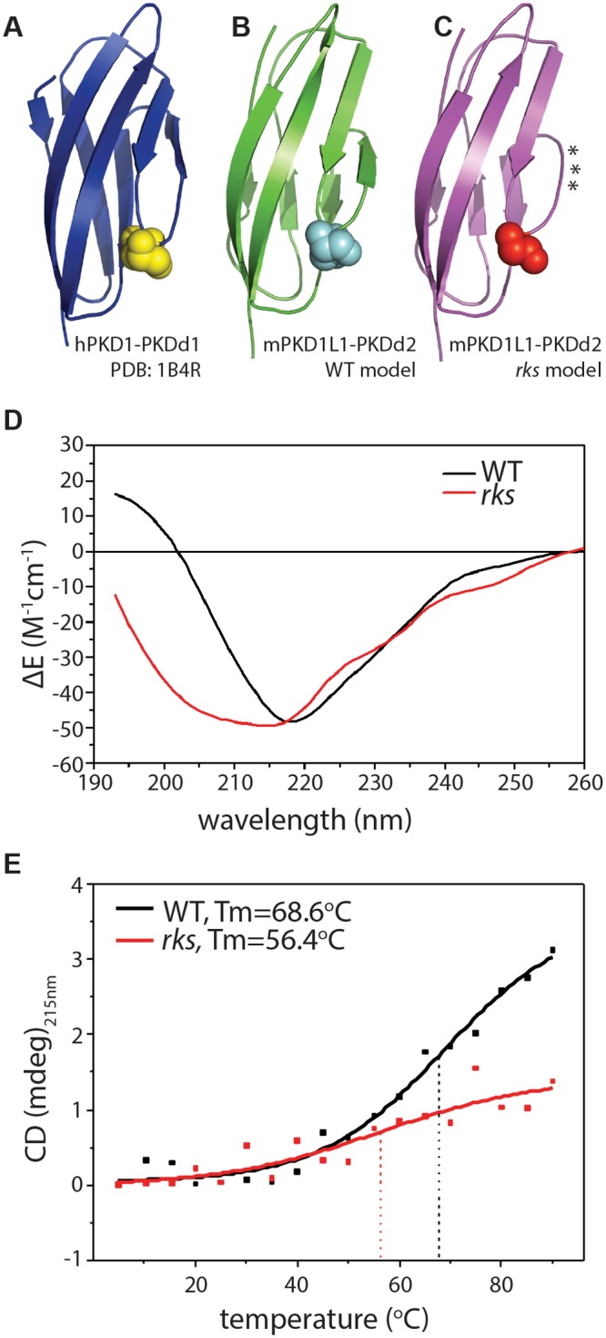 Fig 4