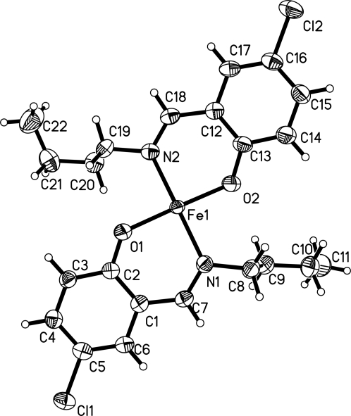 Fig. 1.