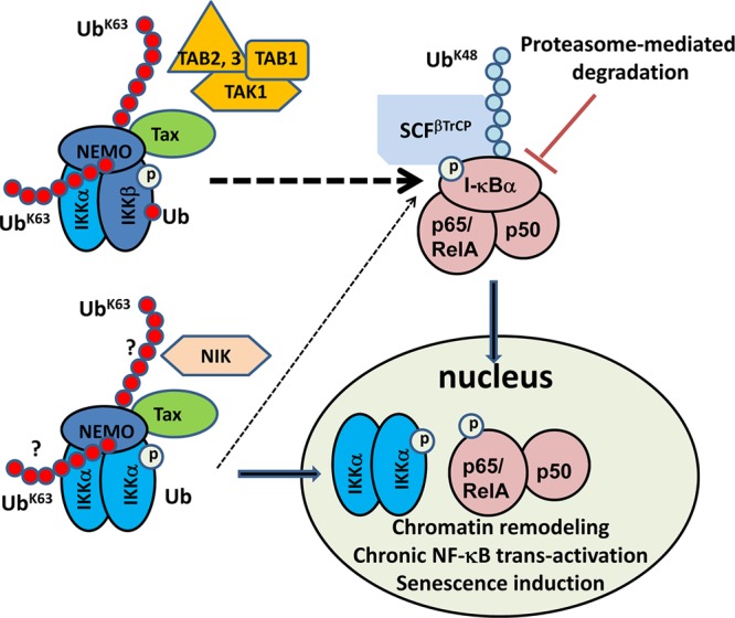 Fig 8