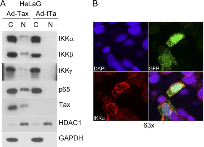 Fig 4