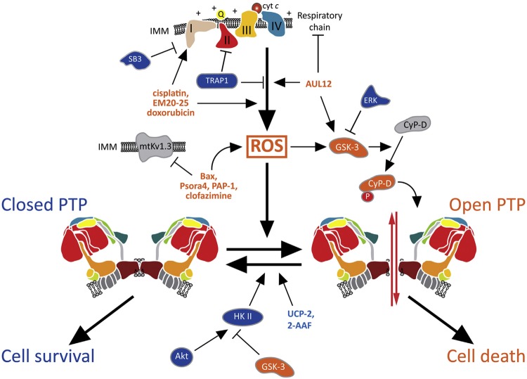 Figure 4.