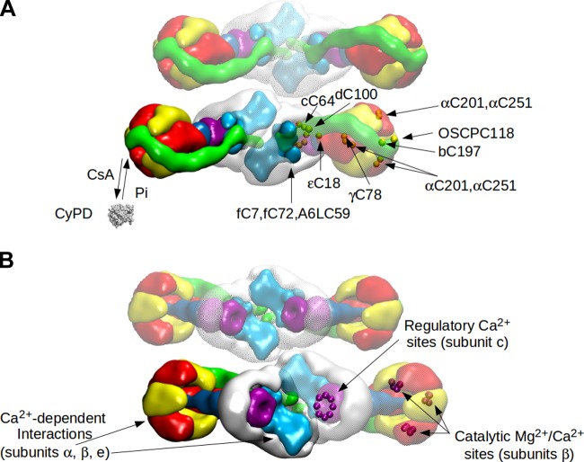 Figure 2.