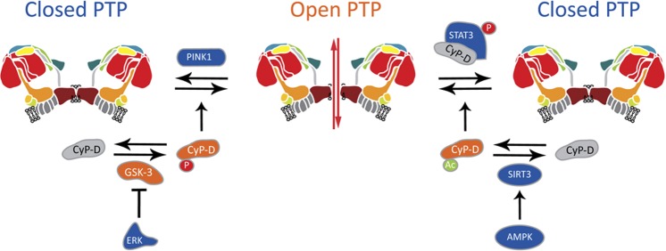 Figure 3.