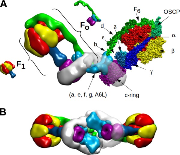 Figure 1.