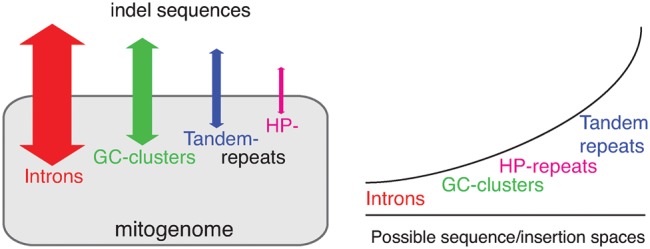 Fig. 8.