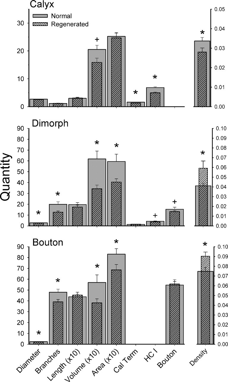 Figure 10.