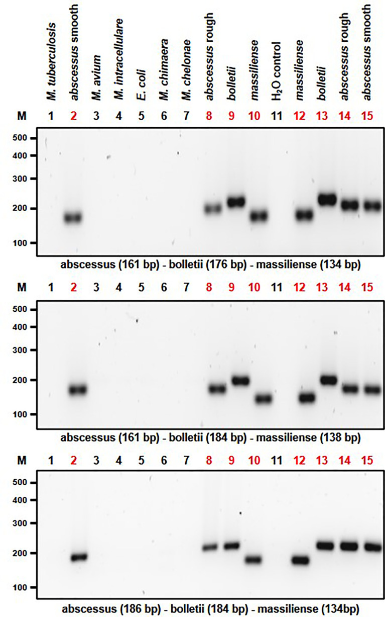 Figure 4