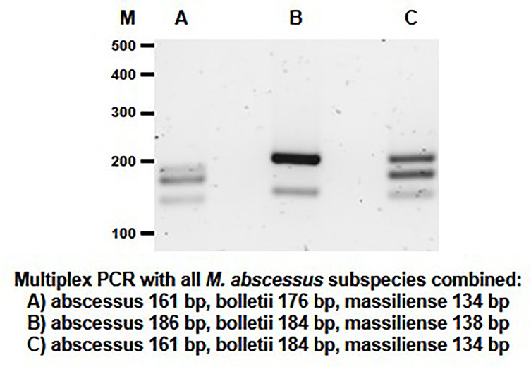 Figure 5