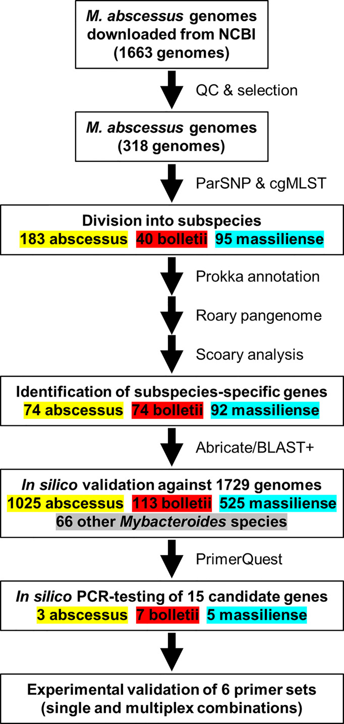 Figure 1