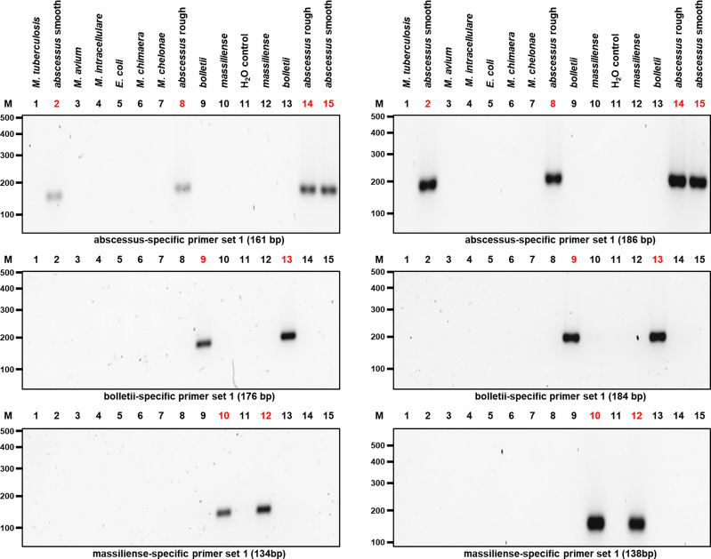 Figure 3