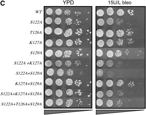 Figure 2.—