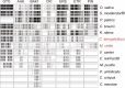 Extended Data Fig. 2