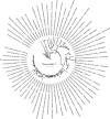 Extended Data Fig. 5