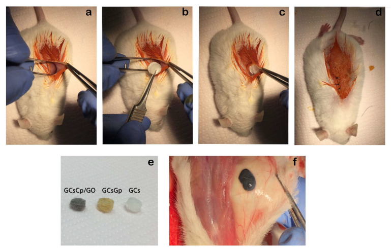 Figure 10