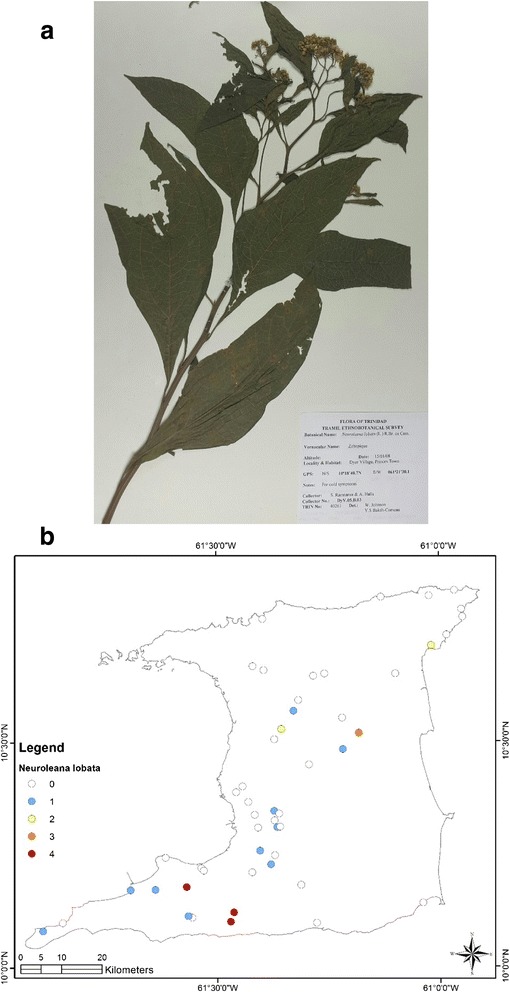 Fig. 7