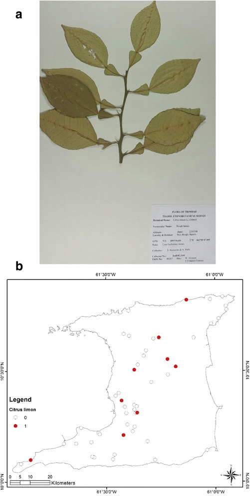 Fig. 8