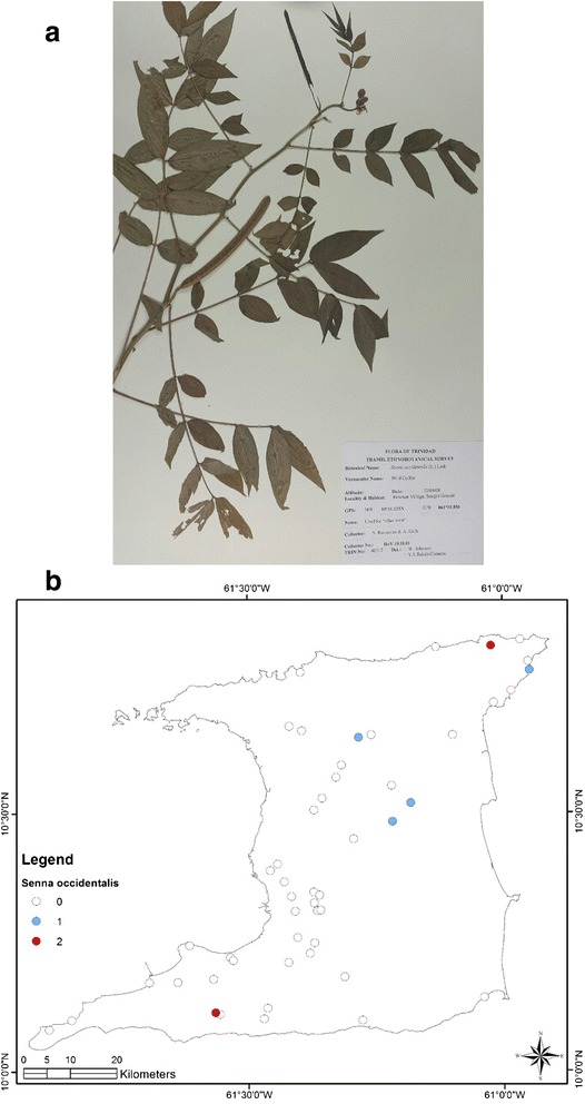 Fig. 5