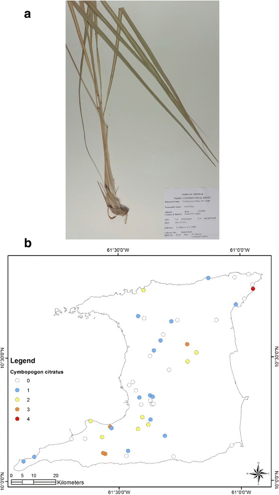 Fig. 6