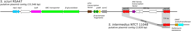 Figure 9