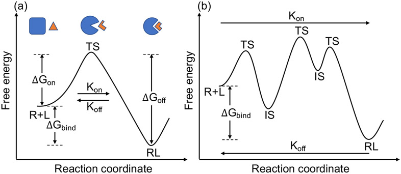 Figure 7: