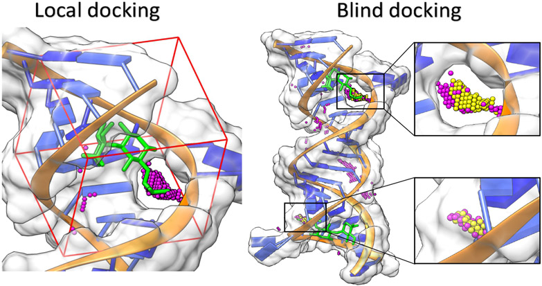 Figure 3: