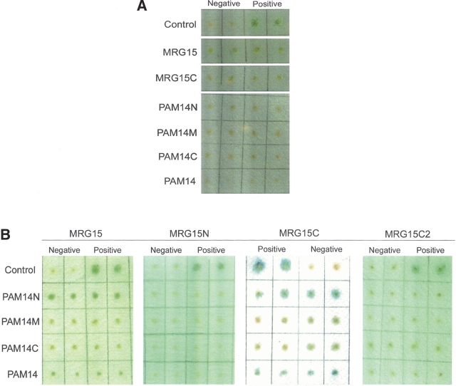 Figure 2.