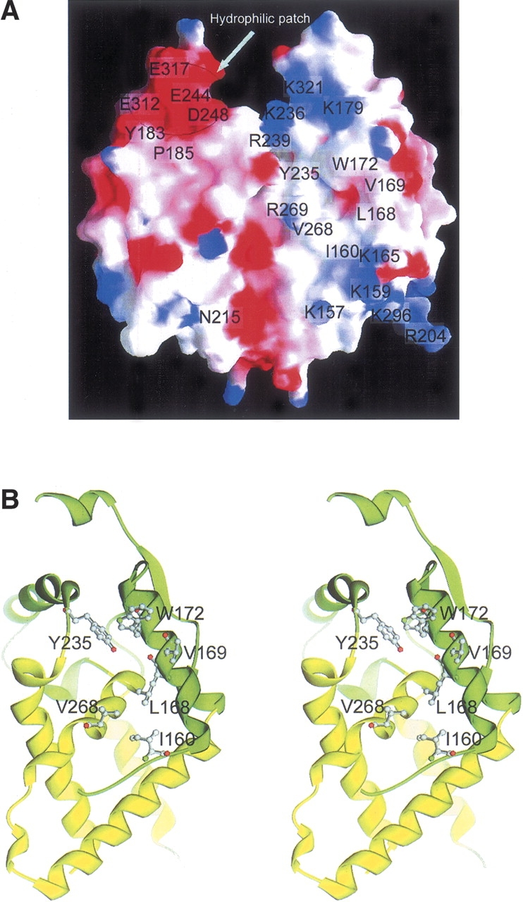 Figure 4.