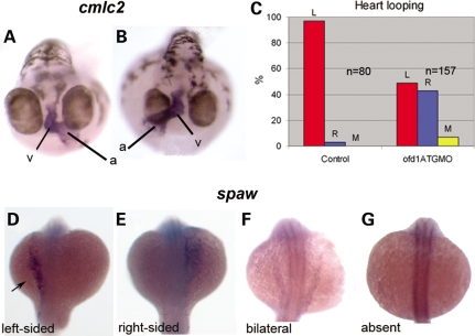 Figure 4.