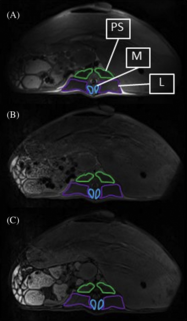 Figure 1