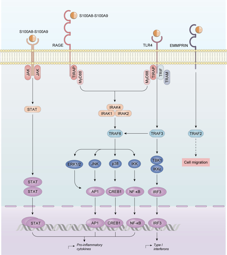 Figure 2