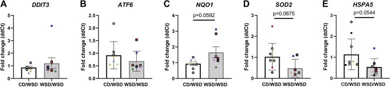 Figure 5.