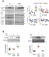 Extended Data Figure 7: