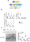 Extended Data Figure 8: