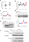 Extended Data Figure 3: