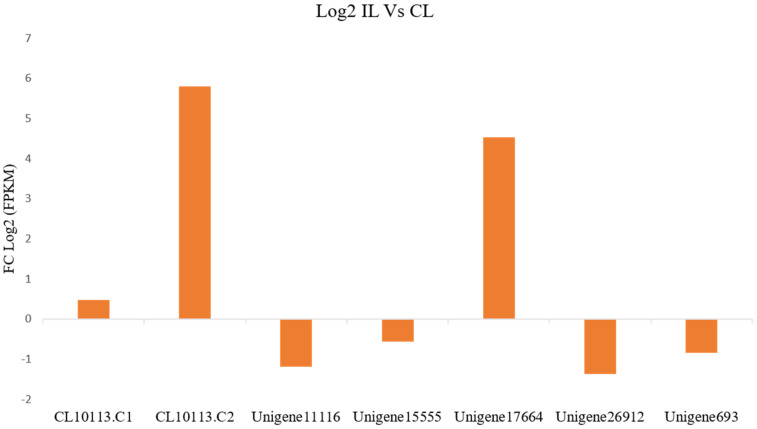 Figure 5