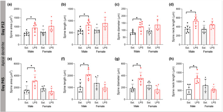 FIGURE 6