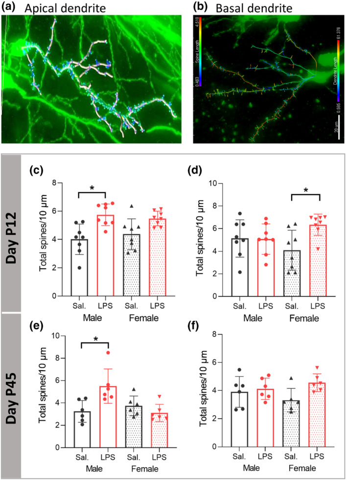 FIGURE 5