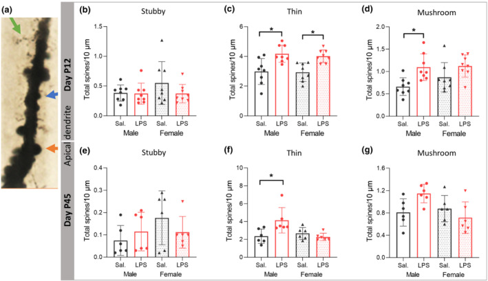 FIGURE 7