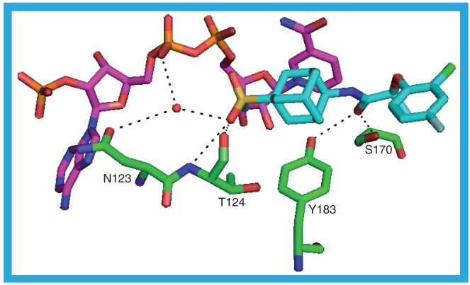 Figure 12