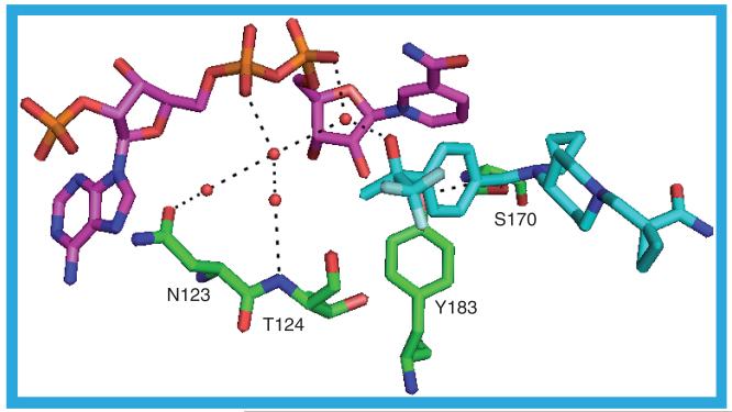 Figure 19