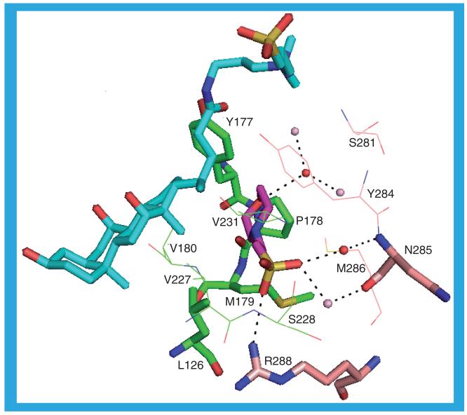 Figure 10