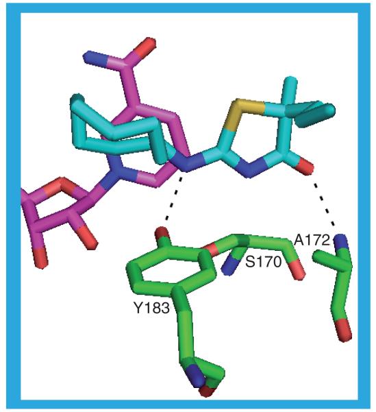 Figure 13