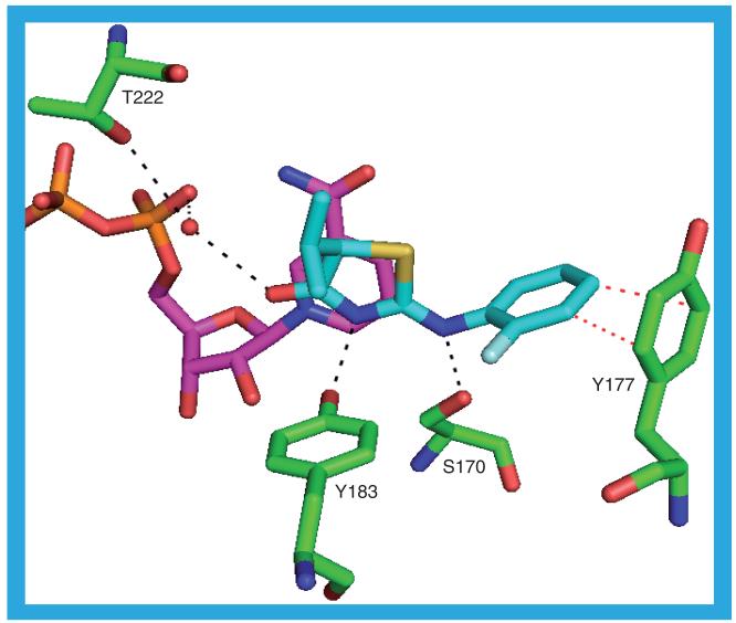 Figure 14