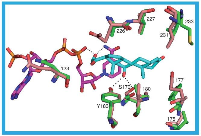 Figure 23