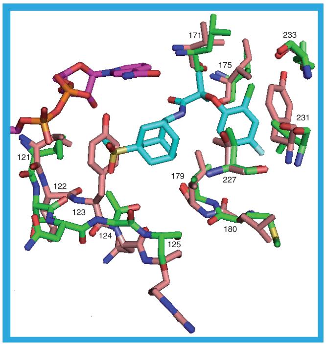 Figure 22