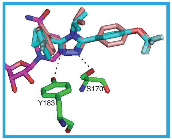 Figure 15