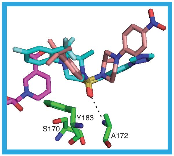 Figure 17