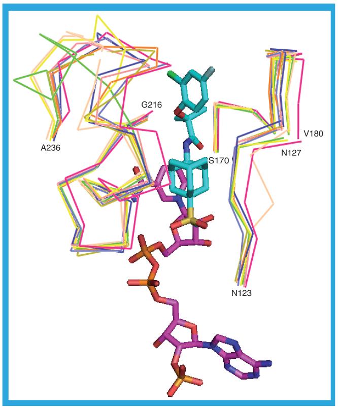 Figure 24